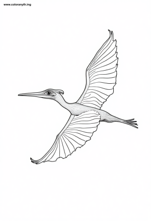 Soaring Pteranodon Coloring Page