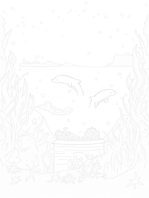 Playful Dolphins and Hidden Treasures Under the Sea