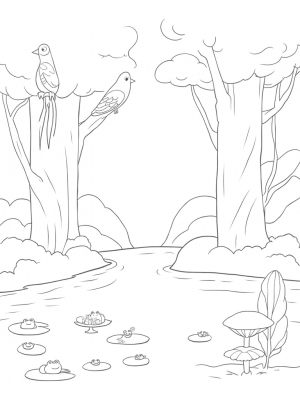 Twisting Trees and Colorful Birds in a Whimsical Forest