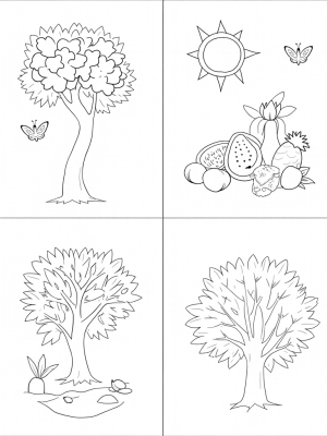 Four Seasons Forest Split into Spring, Summer, Autumn, and Winter