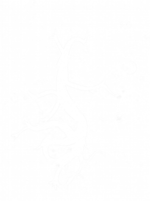 Twisting Tree with Luminescent Mushrooms and Floating Lanterns