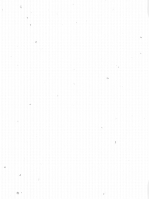 Berries and Cupcakes in a Chocolate Garden