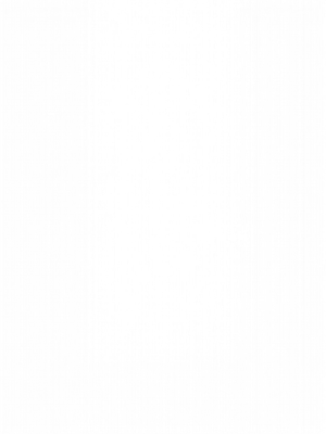 Underwater Garden with Dolphins and a Shipwreck