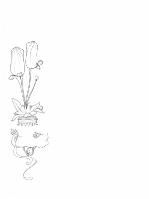 Enchanted Garden with Magical Castle and Glass Slipper