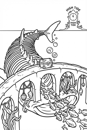 Whale Shark Skeleton