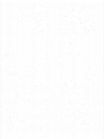 Dolphins Leaping Through Coral and a Sunken Ship