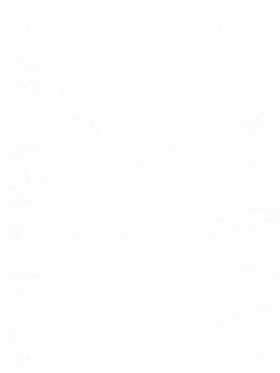 Dinosaurs in a Prehistoric Jungle