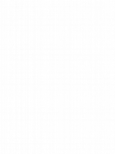 Dolphins and Colorful Coral Underwater Scene